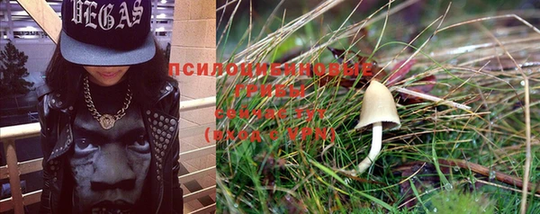 эйфоретик Магас