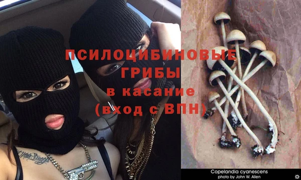 эйфоретик Магас