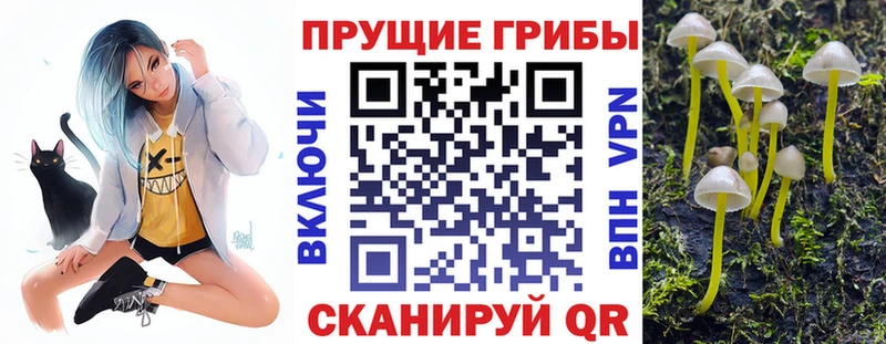 Галлюциногенные грибы MAGIC MUSHROOMS  Купить закладки  Южно-Сахалинск 